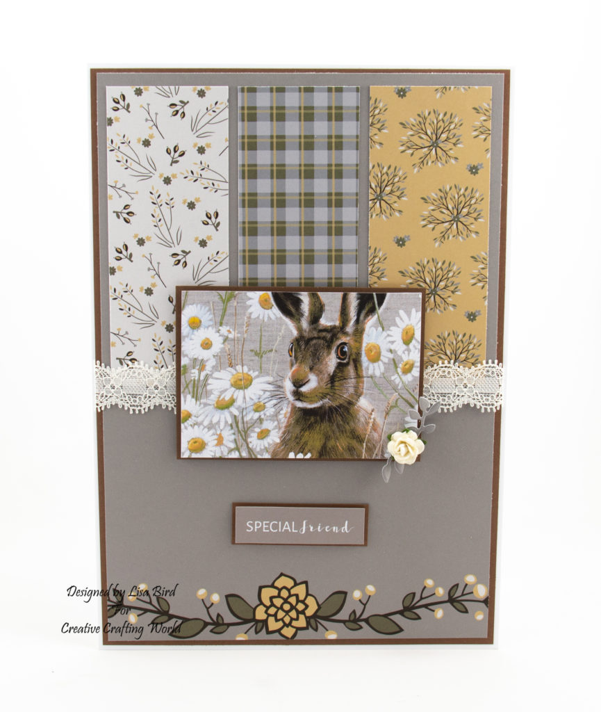 Today's handmade card has been created using the new dvd-rom from Creative Crafting World called British Wildlife Volume III.  With images from Pollyanna Pickering.