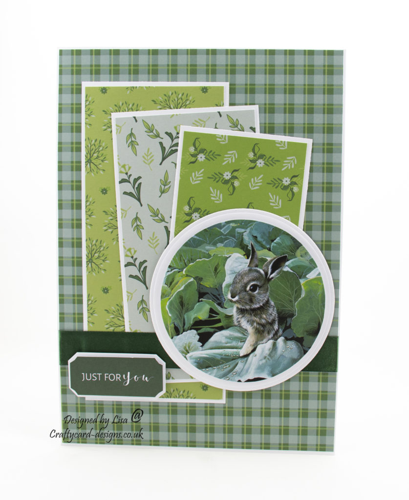 Today’s handmade card has been created using the new dvd-rom from Creative Crafting World called British Wildlife Volume III. With images from Pollyanna Pickering. This will be showing on Create and Craft on the 27th January 2019. I have used the rabbit collection for this card.