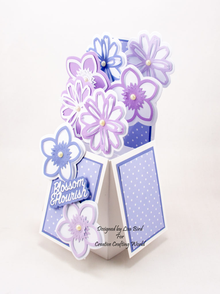 This handmade pop up box card has been created using the wonderful new die and paper collection from Creative Crafting World called ‘Springtime Blooms’. This is another die and paper collection from The Paper Boutique range.