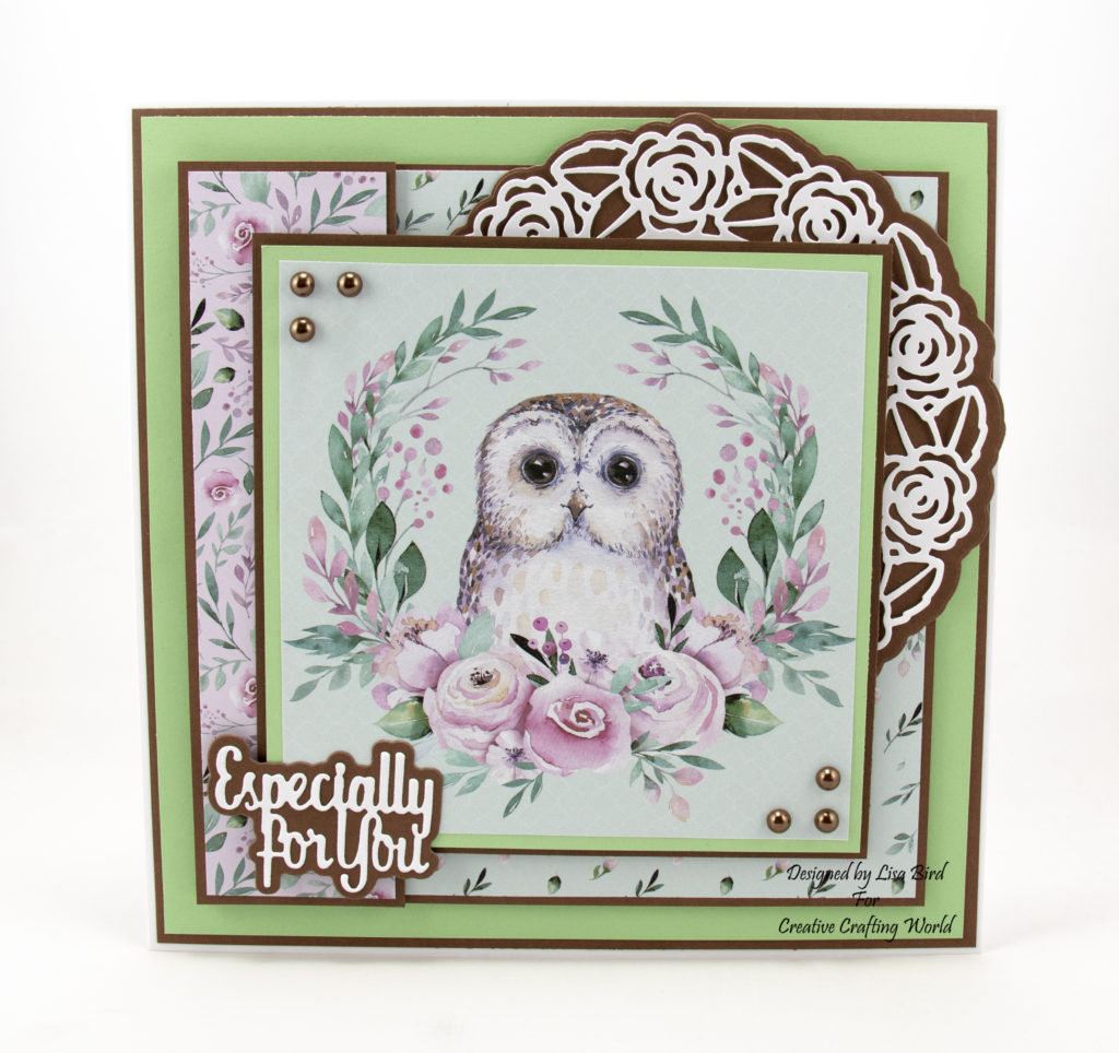 This handmade card has been created using a paper collection called ‘The Magical Forest’.  This paper collection is from The Paper Boutique range from Creative Crafting World