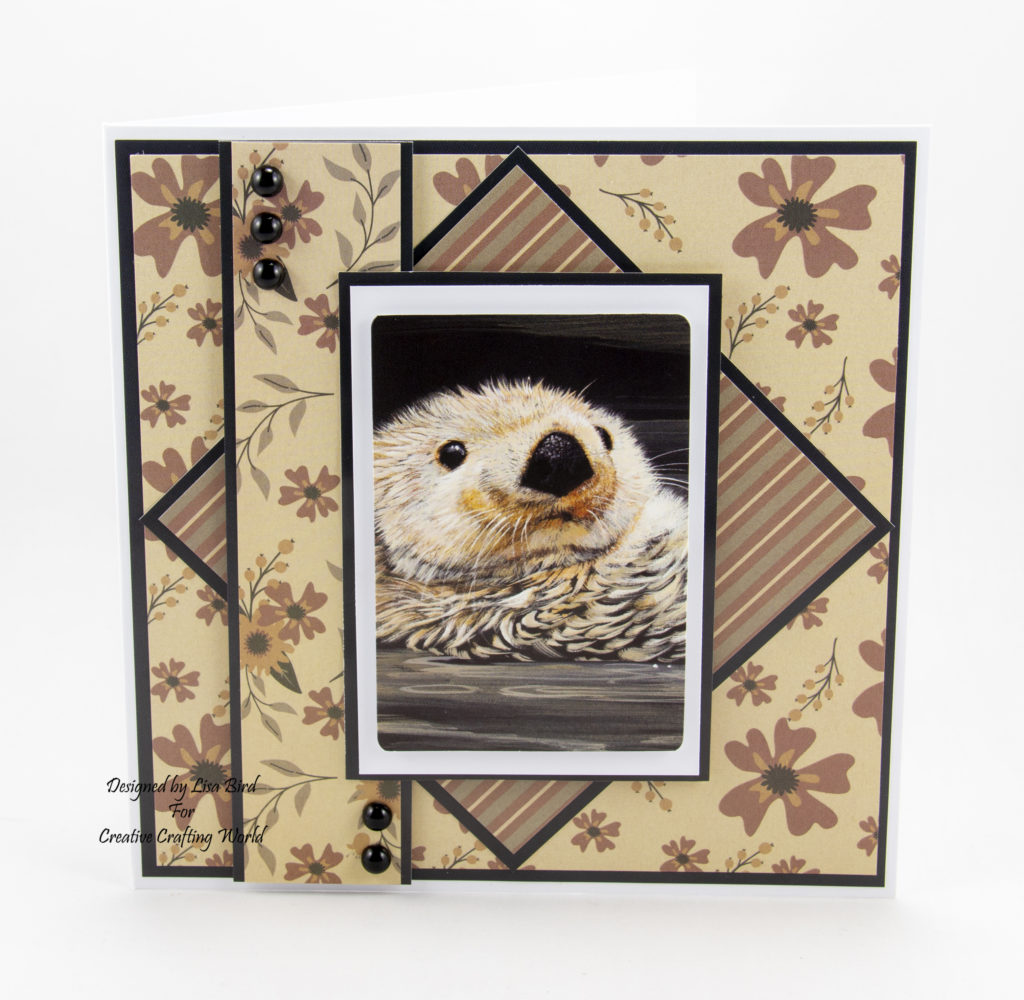 These 6" by 6" handmade cards have been created using the new paper collection from Creative Crafting World called World Wildlife Volume III. With art work by Pollyanna Pickering.