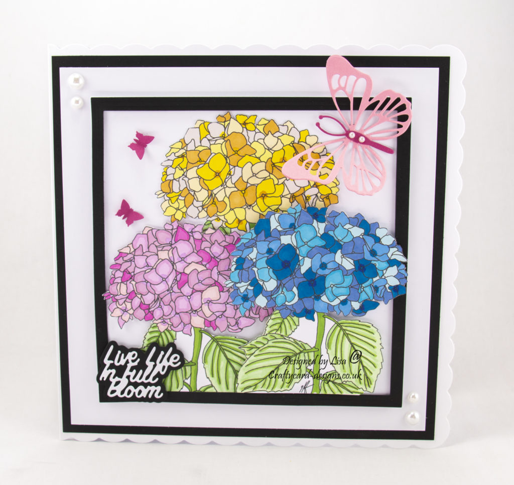 Ike's Art, Hydrangea Flowers with butterflies