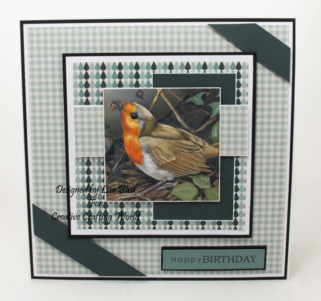 Handmade card created using a dvd-rom called Family Portraits - Wild Birds from Creative Crafting World.