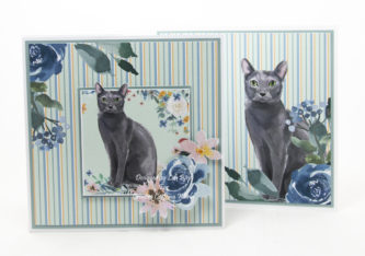handmade card has been created using a Paper Boutique paper collection from Creative Crafting World called It’s A Cats Life.