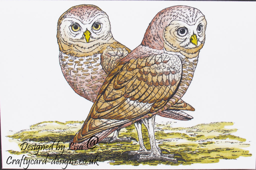 handmade card has been created using a digi image design from Craftsuprint called Digi Stamp Owls 3