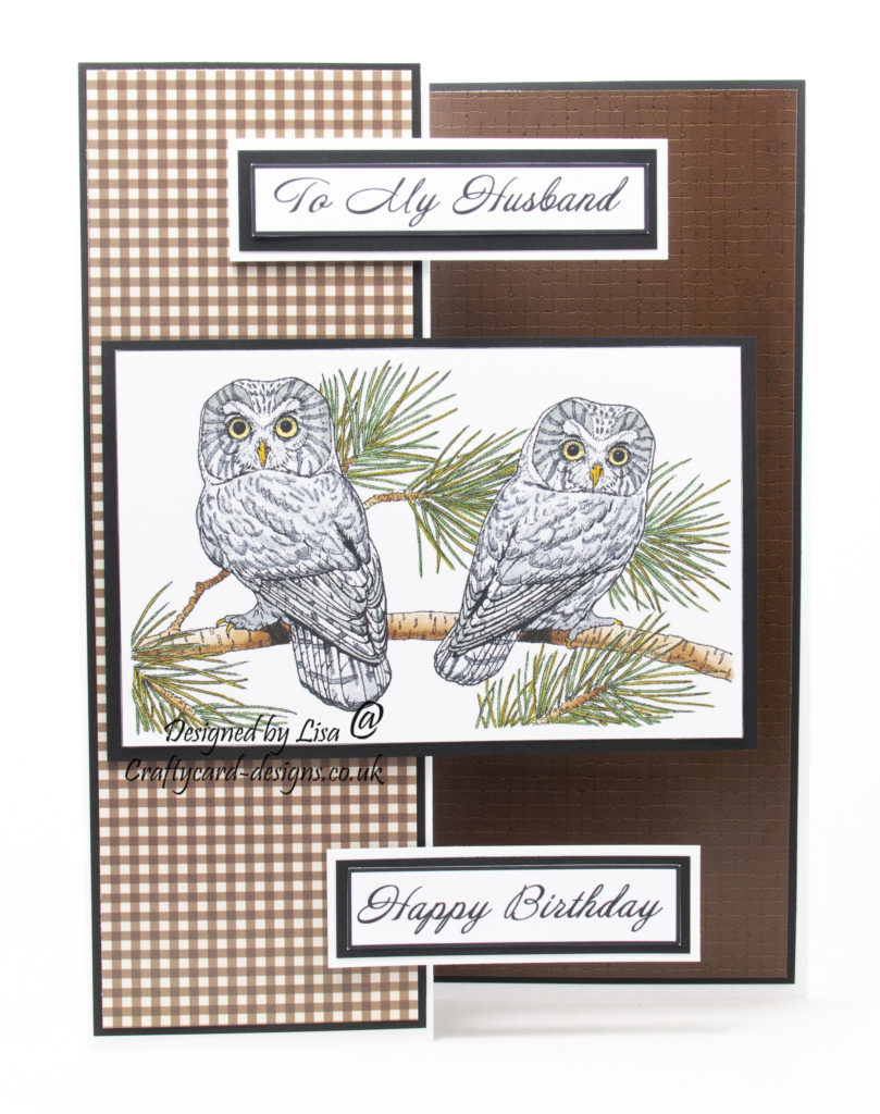 handmade card has been created using a digi image design from Craftsuprint called Digi Stamp Owls 3 .