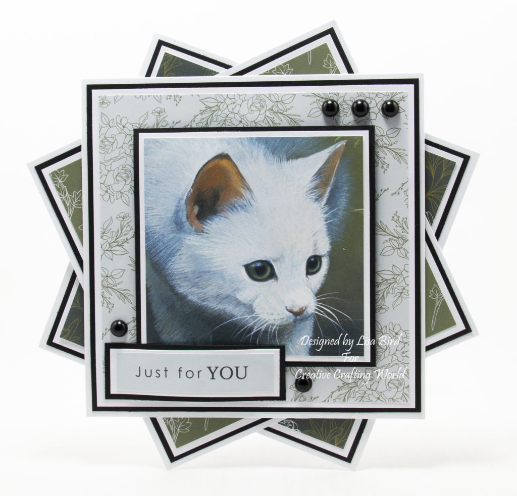 handmade card created using a dvd-rom called Majestic Cats volume II